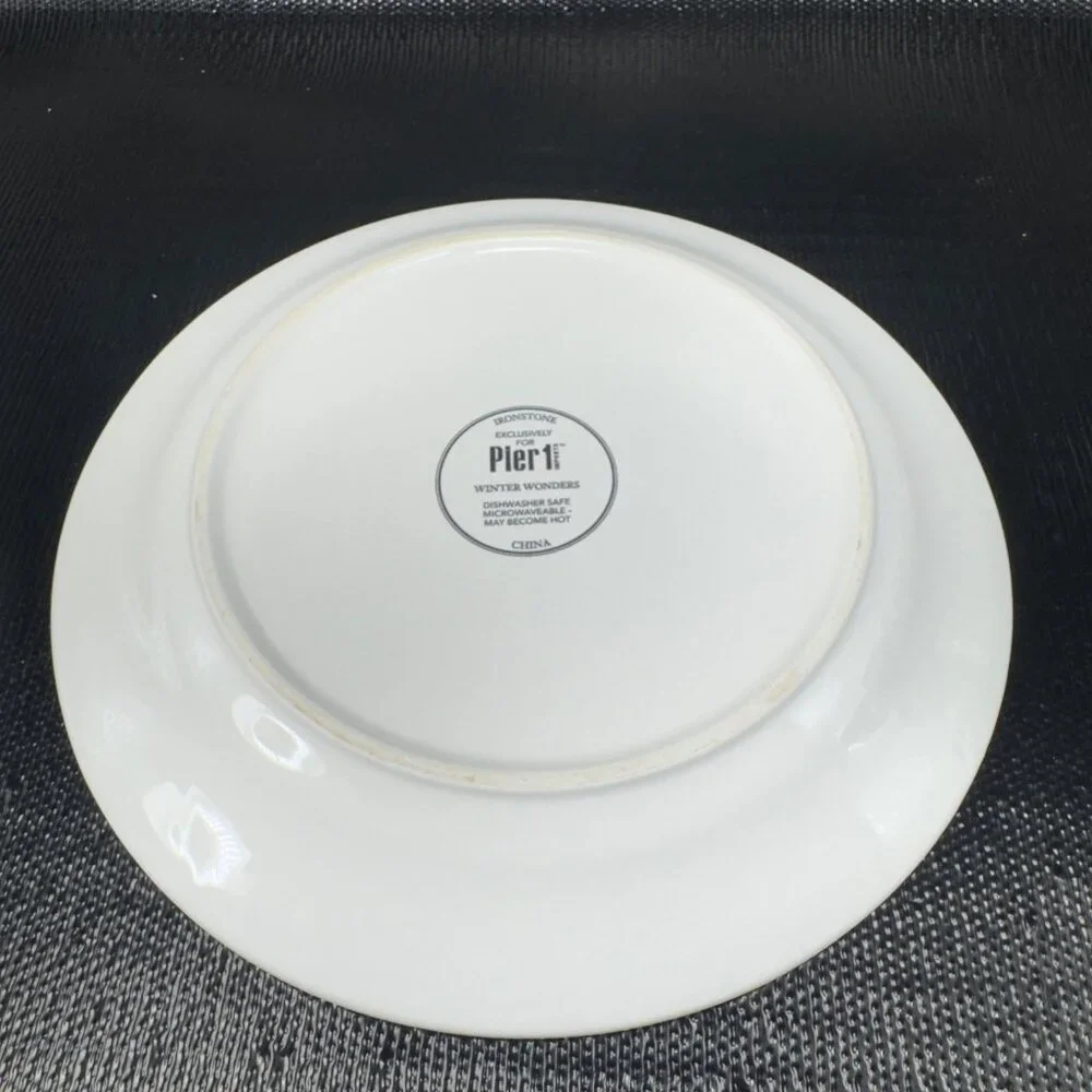 PIER 1 Winter Wonders Ironstone Plate Dish Set 4 Snowman Penguin Christmas 9inch